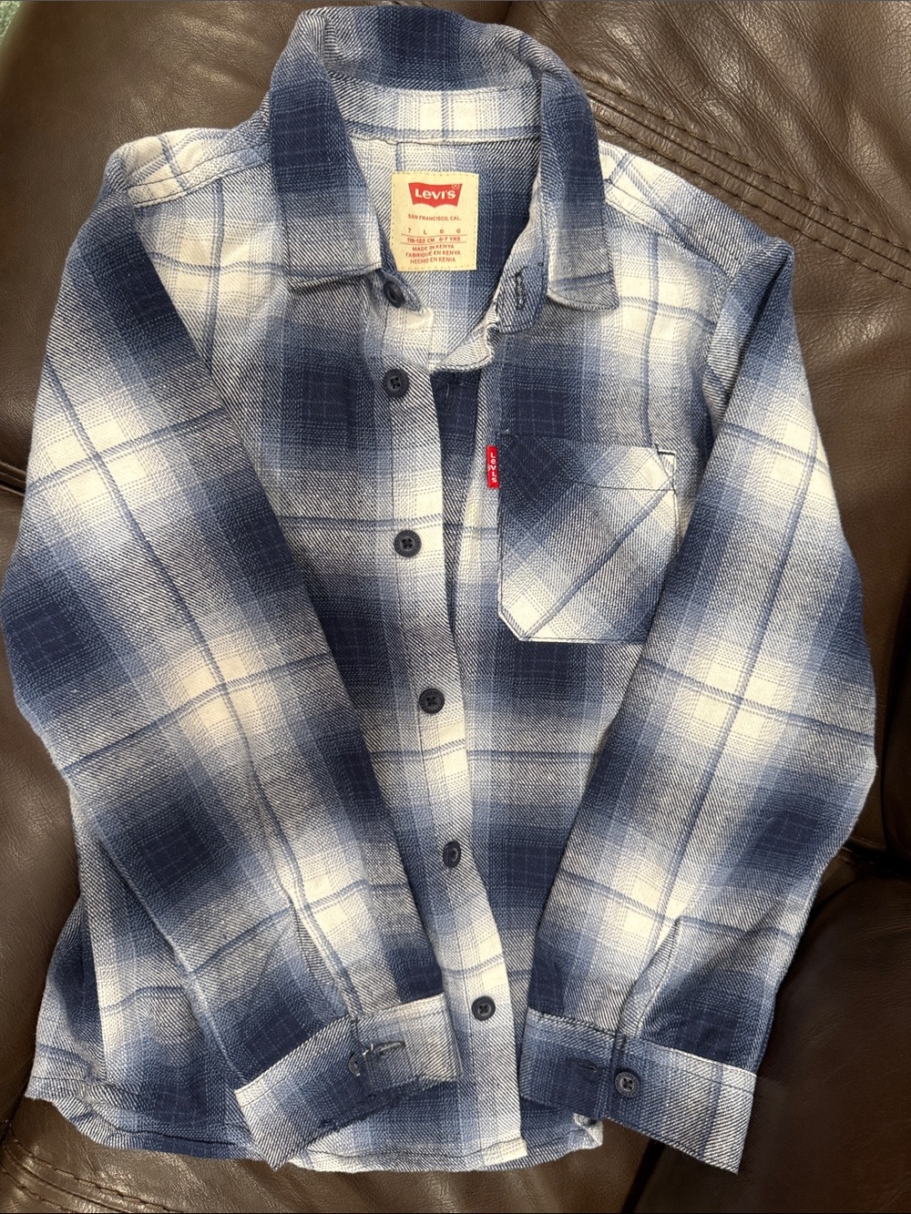 Levi's Blue and White Plaid Button-Down Shirt